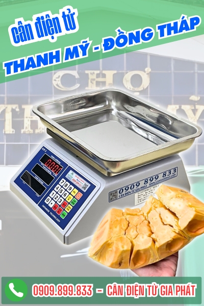 Cân điện tử ở Thanh Mỹ Đồng Tháp - Cân Gia Phát