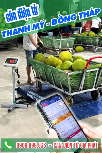 Cân điện tử ở Thanh Mỹ Đồng Tháp - Cân Gia Phát