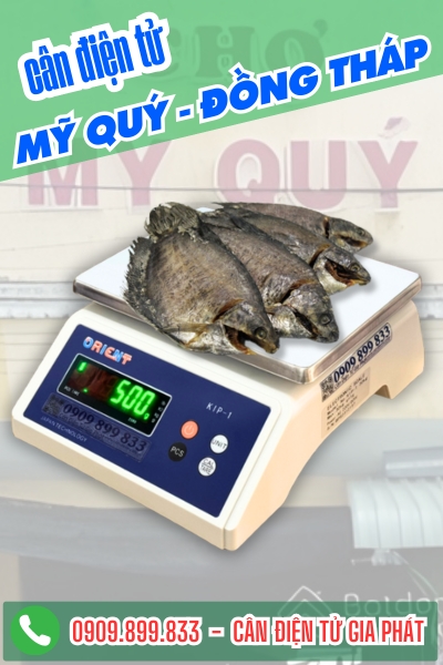 C&acirc;n điện tử ở Mỹ Qu&yacute; Đồng Th&aacute;p - C&acirc;n Gia Ph&aacute;t