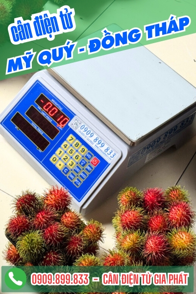 C&acirc;n điện tử ở Mỹ Qu&yacute; Đồng Th&aacute;p - C&acirc;n Gia Ph&aacute;t