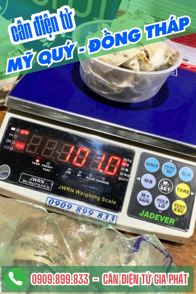 C&acirc;n điện tử ở Mỹ Qu&yacute; Đồng Th&aacute;p - C&acirc;n Gia Ph&aacute;t