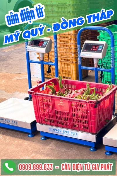 C&acirc;n điện tử ở Mỹ Qu&yacute; Đồng Th&aacute;p - C&acirc;n Gia Ph&aacute;t