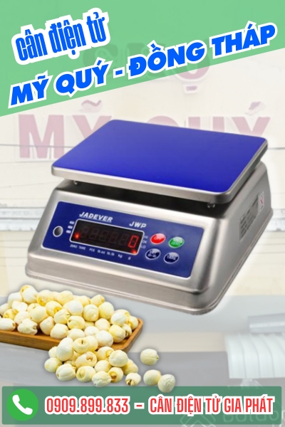 C&acirc;n điện tử ở Mỹ Qu&yacute; Đồng Th&aacute;p - C&acirc;n Gia Ph&aacute;t