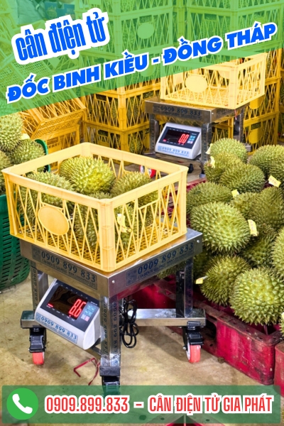 C&acirc;n điện tử ở x&atilde; Đốc Binh Kiều Đồng Th&aacute;p - C&acirc;n Gia Ph&aacute;t