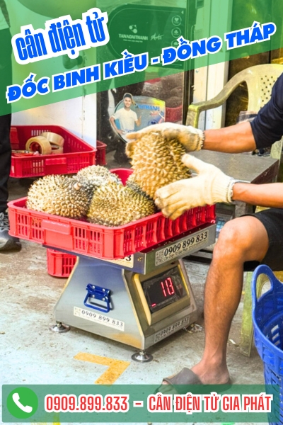 Top cân điện tử ở Xã Đốc Binh Kiều Đồng Tháp chuyên cân sầu riêng