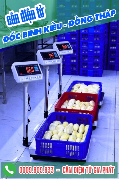 C&acirc;n điện tử ở x&atilde; Đốc Binh Kiều Đồng Th&aacute;p - C&acirc;n Gia Ph&aacute;t