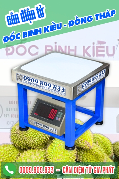 C&acirc;n điện tử ở x&atilde; Đốc Binh Kiều Đồng Th&aacute;p - C&acirc;n Gia Ph&aacute;t