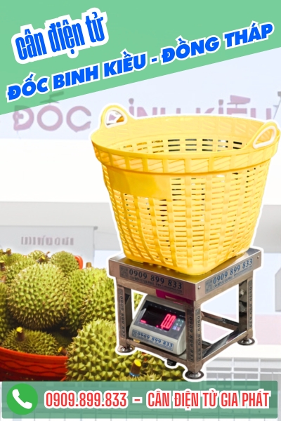 C&acirc;n điện tử ở x&atilde; Đốc Binh Kiều Đồng Th&aacute;p - C&acirc;n Gia Ph&aacute;t