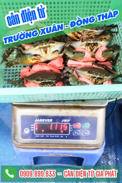 Cân điện tử ở xã Trường Xuân Đồng Tháp - Cân Gia Phát