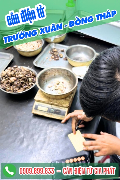 Cân điện tử ở xã Trường Xuân Đồng Tháp - Cân Gia Phát