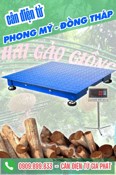 Cân điện tử ở Phong Mỹ Đồng Tháp - Cân Gia Phát