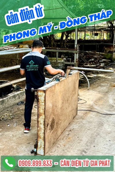 Cân điện tử ở Phong Mỹ Đồng Tháp - Cân Gia Phát