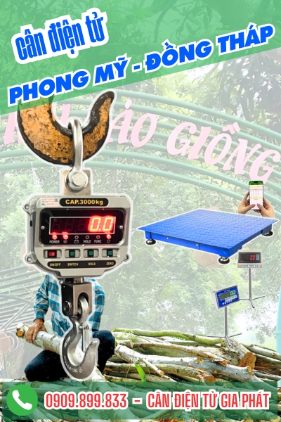 Top cân điện tử ở xã Phong Mỹ Đồng Tháp chuyên cân cây tràm