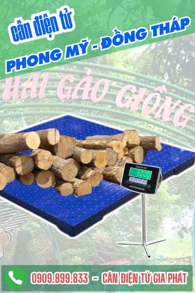 C&acirc;n điện tử ở Phong Mỹ Đồng Th&aacute;p - C&acirc;n Gia Ph&aacute;t
