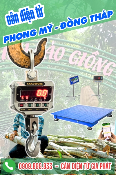 C&acirc;n điện tử ở Phong Mỹ Đồng Th&aacute;p - C&acirc;n Gia Ph&aacute;t