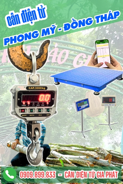 Cân điện tử ở Phong Mỹ Đồng Tháp - Cân Gia Phát