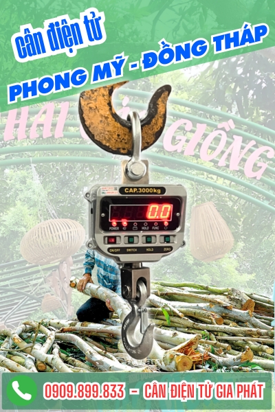 Cân điện tử ở Phong Mỹ Đồng Tháp - Cân Gia Phát