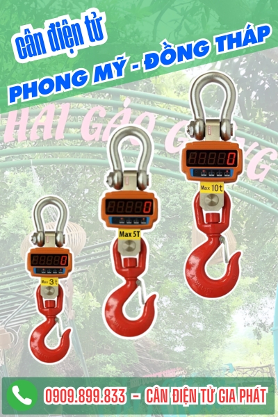 Cân điện tử ở Phong Mỹ Đồng Tháp - Cân Gia Phát