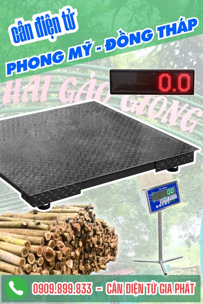 Cân điện tử ở Phong Mỹ Đồng Tháp - Cân Gia Phát