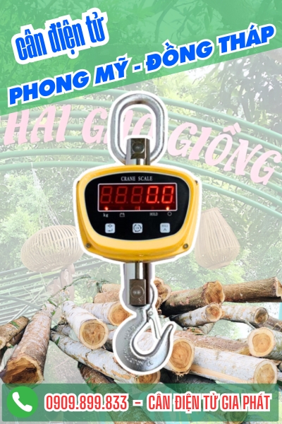 Cân điện tử ở Phong Mỹ Đồng Tháp - Cân Gia Phát