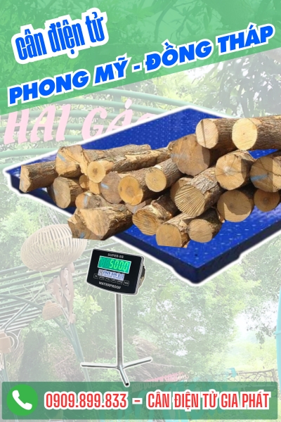 Cân điện tử ở Phong Mỹ Đồng Tháp - Cân Gia Phát