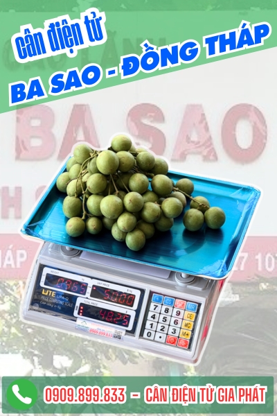 C&acirc;n điện tử ở Ba Sao Đồng Th&aacute;p - C&acirc;n Gia Ph&aacute;t