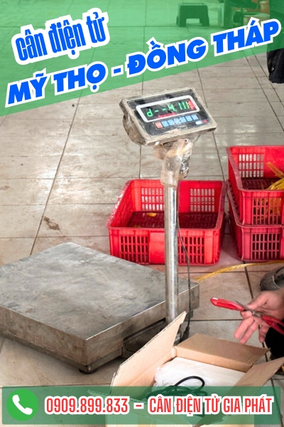 C&acirc;n điện tử ở Mỹ Thọ Đồng Th&aacute;p - C&acirc;n Gia Ph&aacute;t