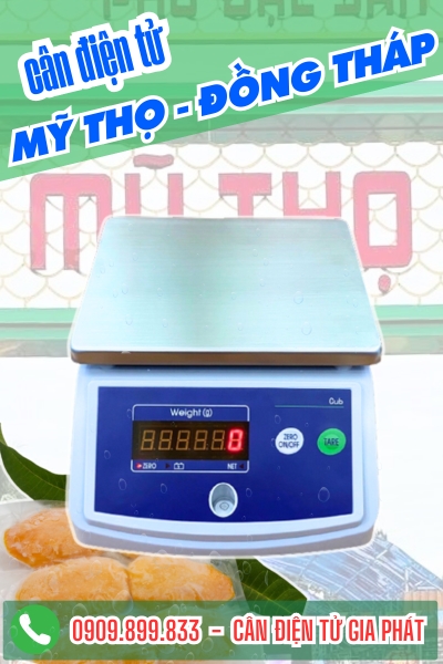 C&acirc;n điện tử ở Mỹ Thọ Đồng Th&aacute;p - C&acirc;n Gia Ph&aacute;t