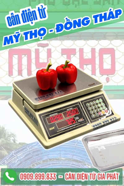 C&acirc;n điện tử ở Mỹ Thọ Đồng Th&aacute;p - C&acirc;n Gia Ph&aacute;t