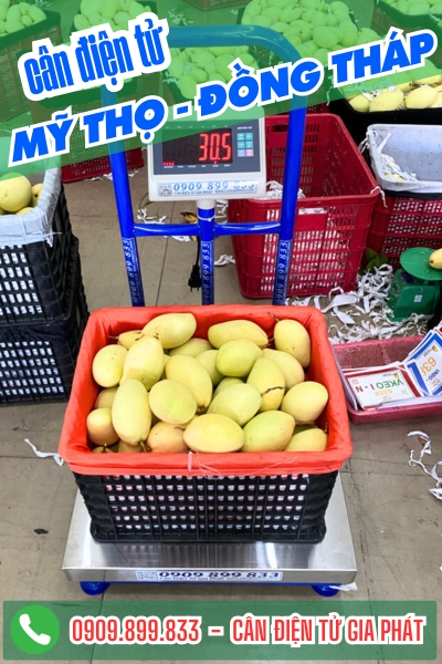 C&acirc;n điện tử ở Mỹ Thọ Đồng Th&aacute;p - C&acirc;n Gia Ph&aacute;t