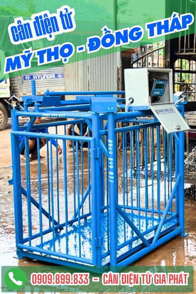 C&acirc;n điện tử ở Mỹ Thọ Đồng Th&aacute;p - C&acirc;n Gia Ph&aacute;t