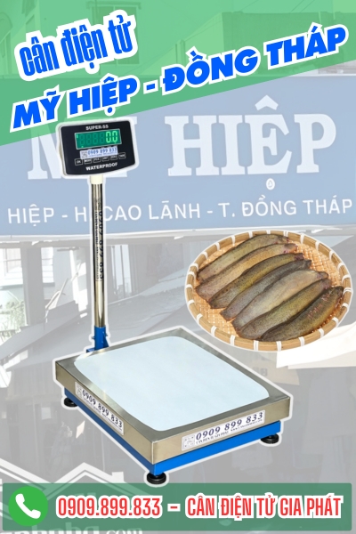 C&acirc;n điện tử ở Mỹ Hiệp Đồng Th&aacute;p - C&acirc;n Gia Ph&aacute;t