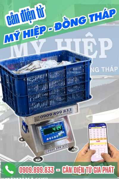 C&acirc;n điện tử ở x&atilde; Mỹ Hiệp Đồng Th&aacute;p - C&acirc;n Gia Ph&aacute;t