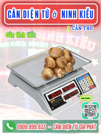 Cân điện tử ở phường Ninh Kiều Cần Thơ - Cân Gia Phát