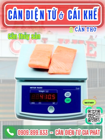 C&acirc;n điện tử ở C&aacute;i Khế Cần Thơ - C&acirc;n Gia Ph&aacute;t