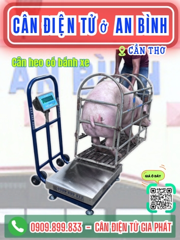 Cân điện tử ở An Bình Cần Thơ - Cân Gia Phát