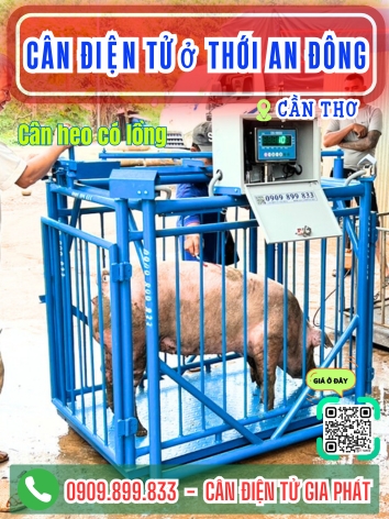 C&acirc;n điện tử ở Thới An Đ&ocirc;ng Cần Thơ - C&acirc;n Gia Ph&aacute;t
