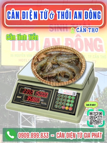 C&acirc;n điện tử ở Thới An Đ&ocirc;ng Cần Thơ - C&acirc;n Gia Ph&aacute;t