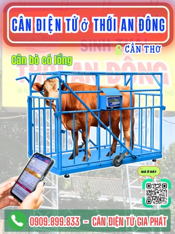 Cân điện tử ở phường Thới An Đông Cần Thơ