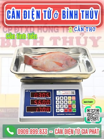 C&acirc;n điện tử phường B&igrave;nh Thủy Cần Thơ - C&acirc;n Gia Ph&aacute;t
