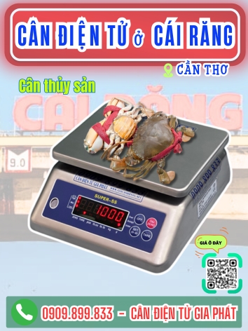 Cân điện tử phường Cái Răng Cần Thơ - Cân Gia Phát