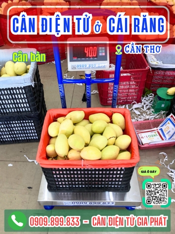Cân điện tử phường Cái Răng Cần Thơ - Cân Gia Phát