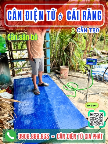 Cân điện tử phường Cái Răng Cần Thơ - Cân Gia Phát