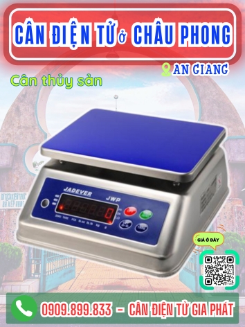 Cân điện tử ở Châu Phong An Giang - Cân Gia Phát