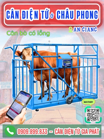 Cân điện tử ở Châu Phong An Giang - Cân Gia Phát