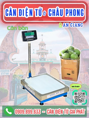 Cân điện tử ở Châu Phong An Giang - Cân Gia Phát