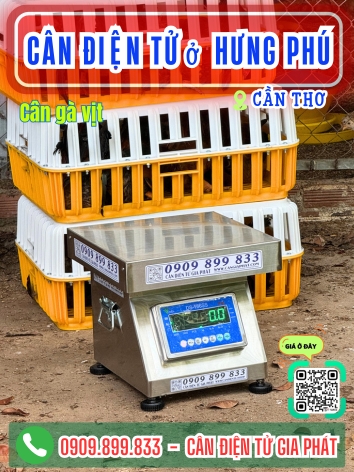 Cân điện tử Hưng Phú Cần Thơ - Cân Gia Phát