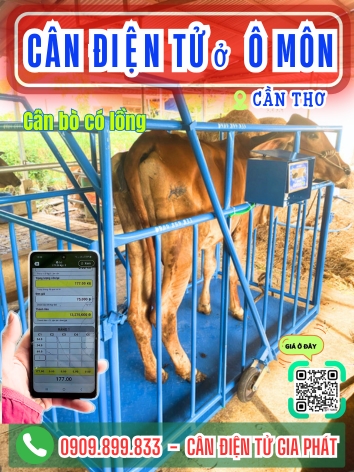 Cân điện tử phường Ô Môn Cần Thơ - Cân Gia Phát