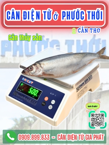 C&acirc;n điện tử ở Phước Thới Cần Thơ - C&acirc;n Gia Ph&aacute;t