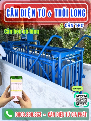 Cân điện tử ở Thới Long Cần Thơ - Cân Gia Phát